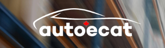 Auto E-Cat.png