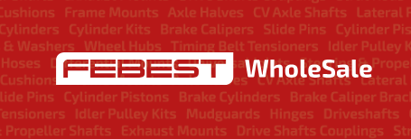 FEBEST WholeSale.png
